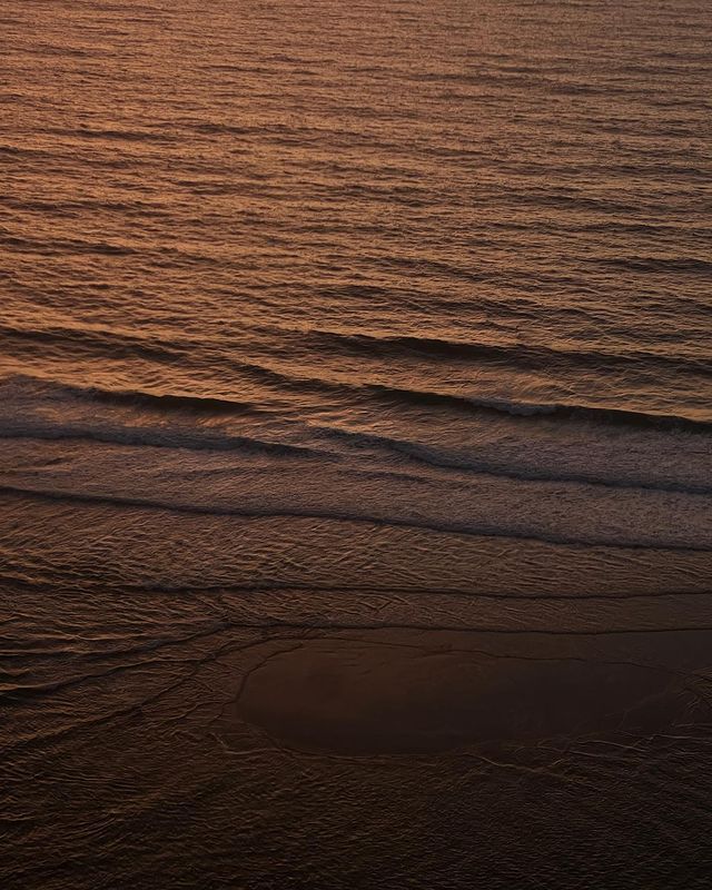 Aged Wood Texture Macro Photography