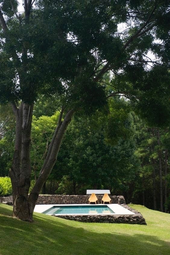 Lush Backyard Garden Landscape Photography