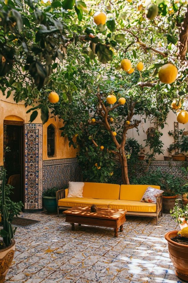 Ornate Courtyard Oasis Orange Trees Marrakech