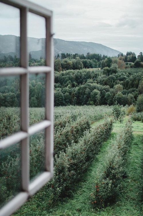 Majestic Mountain Landscape Cabin Window View