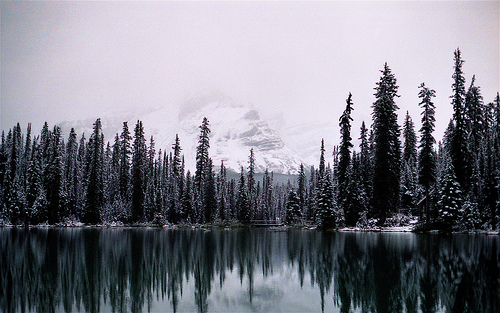 Snow-dusted evergreens and distant peaks create perfect mirror reflections in a still alpine lake. The overcast winter light reveals the profound stillness of this remote wilderness area.