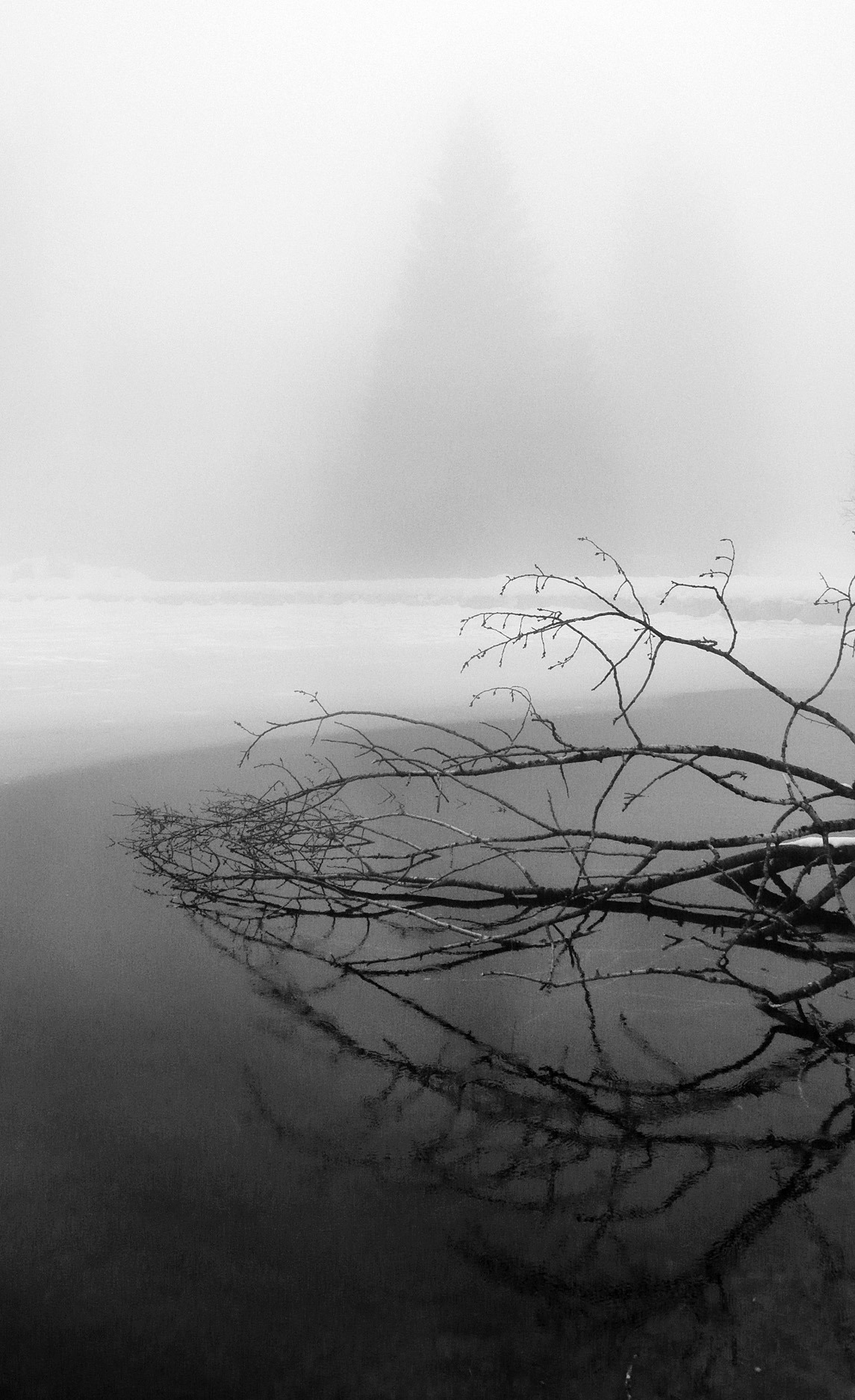 Misty Lake Landscape With Reflective Surface