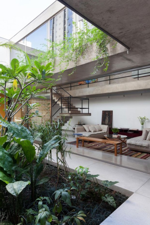 Lush Indoor Garden Architectural Sanctuary