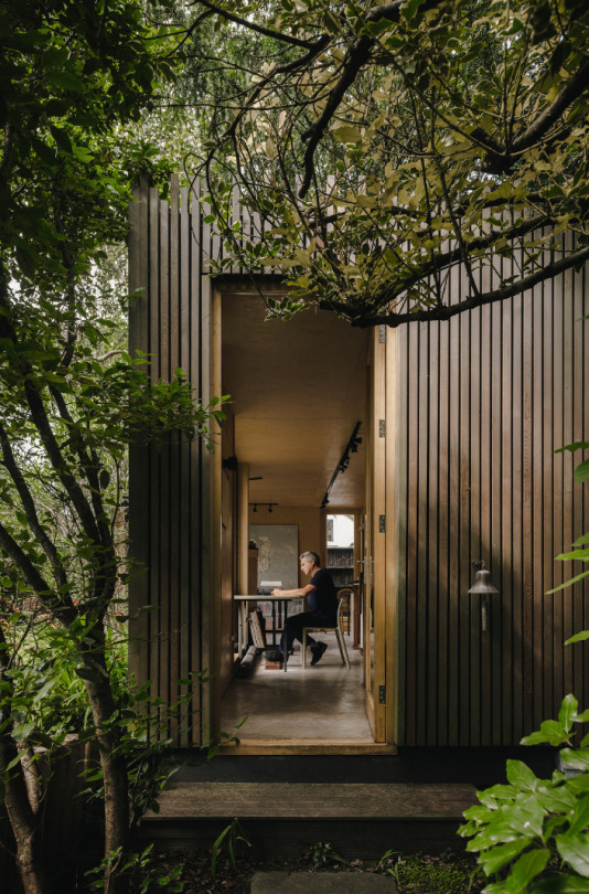 Lush Nature Sanctuary Landscape Photography