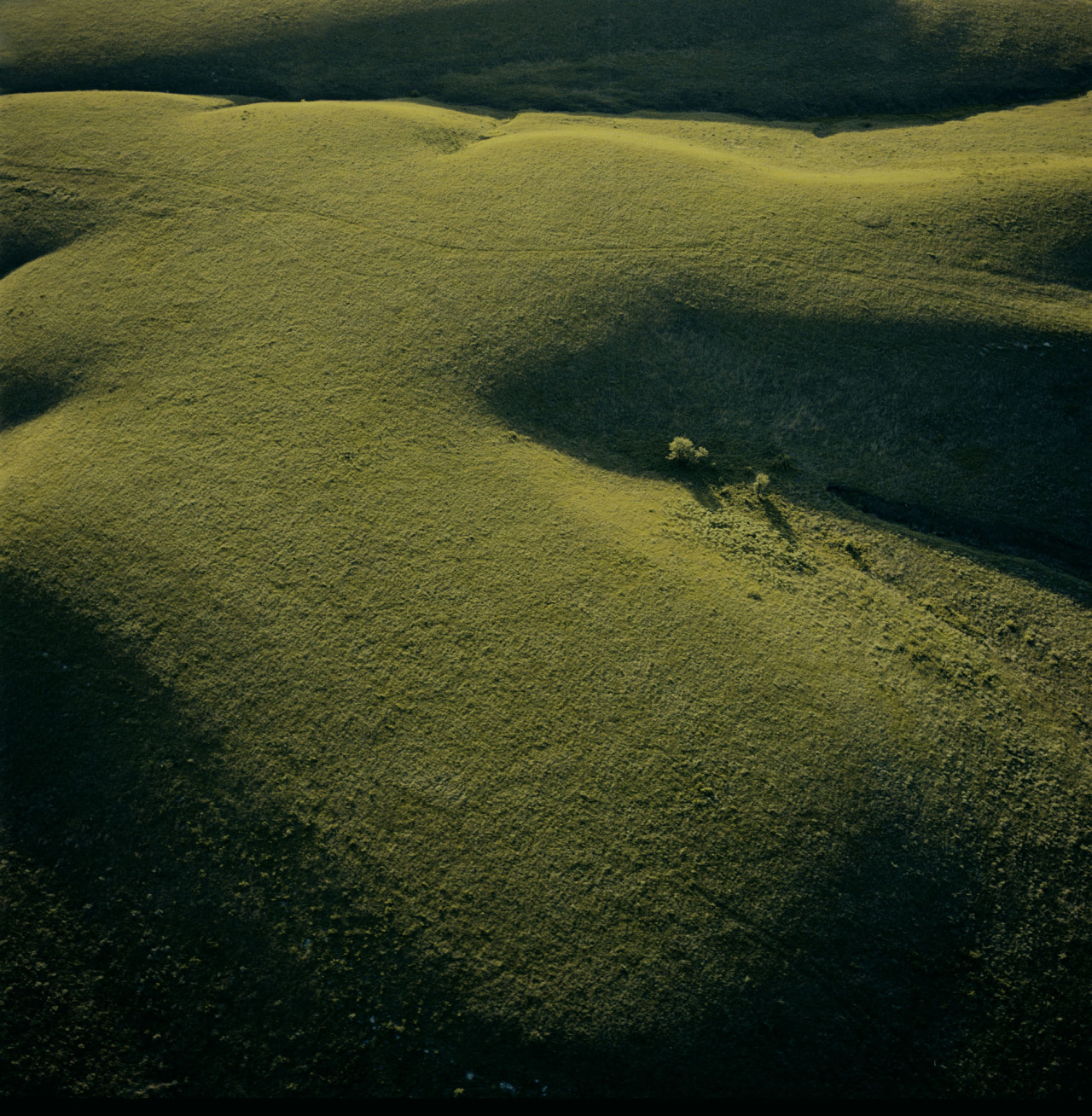 Lush Rolling Hills Landscape At Sunset