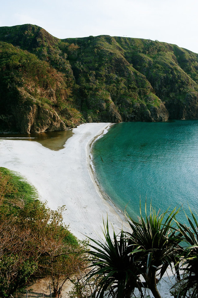 Tropical Beach Green Mountains Palm Trees White Sand Azure Ocean