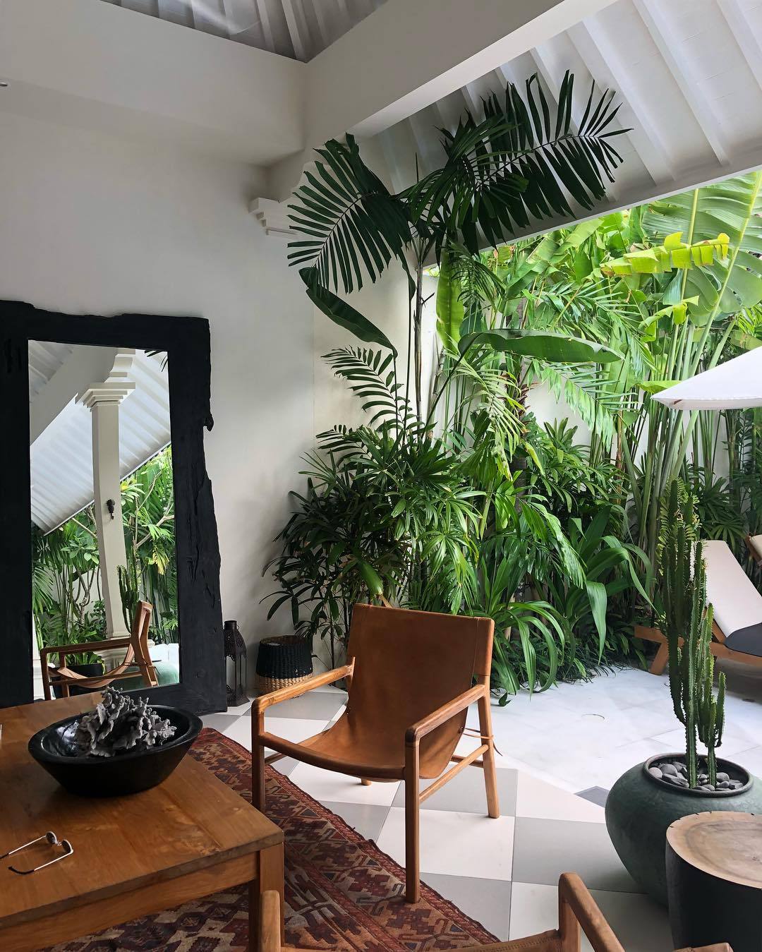 Lush Tropical Garden Landscape Photography