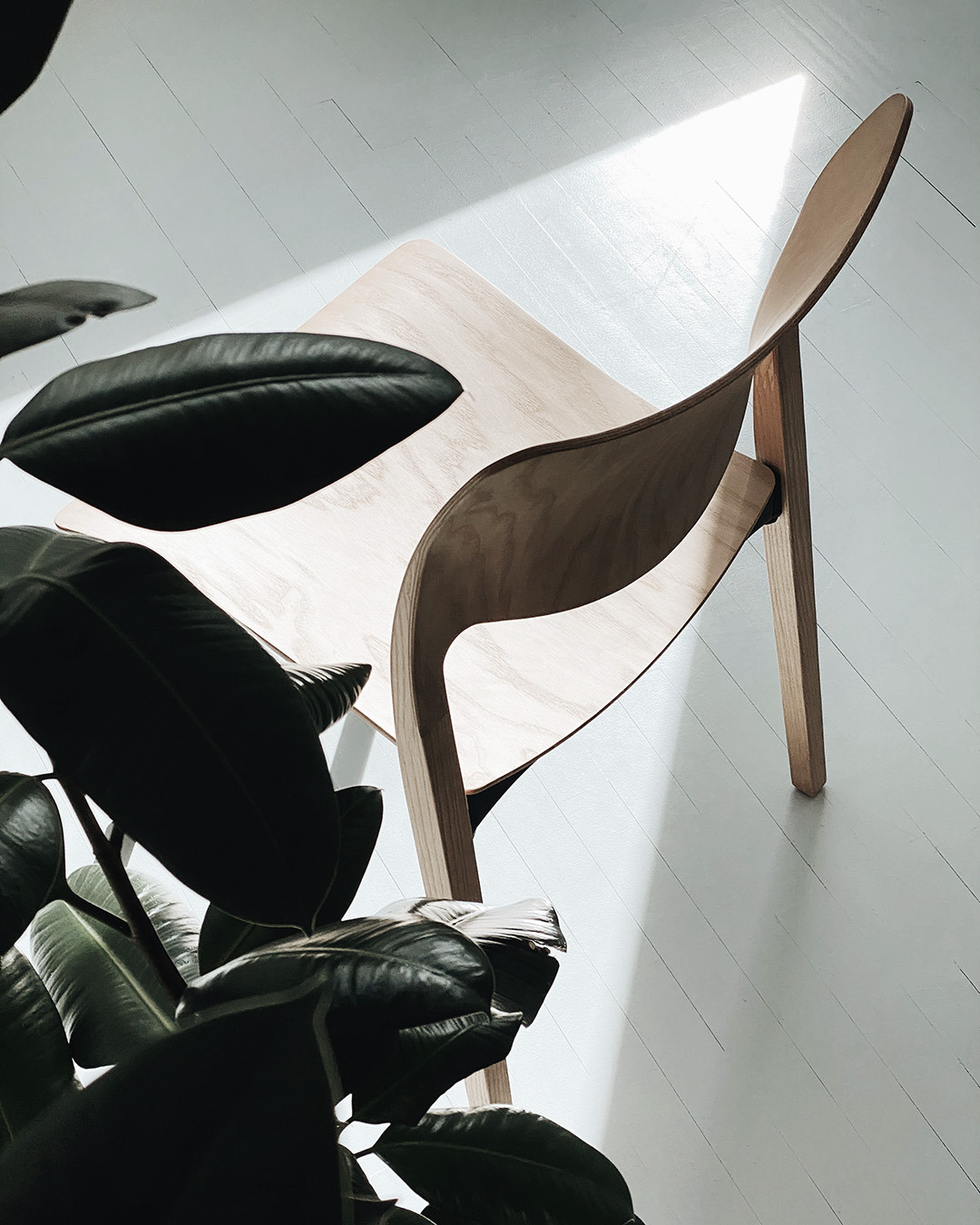 Mid-century Modern Living Room Interior