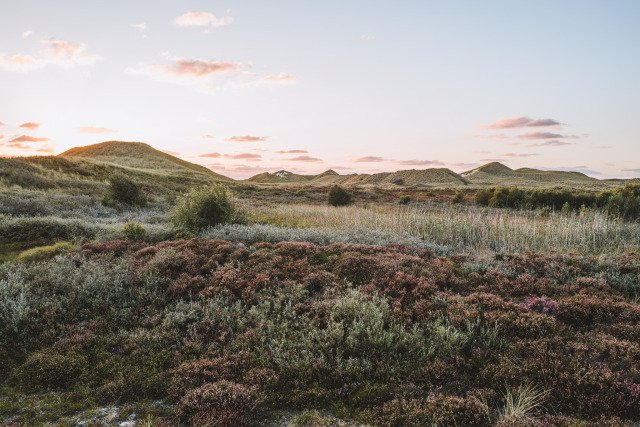 Rolling Hills Grassland Landscape Sunset Pink Sky Desert Terrain
