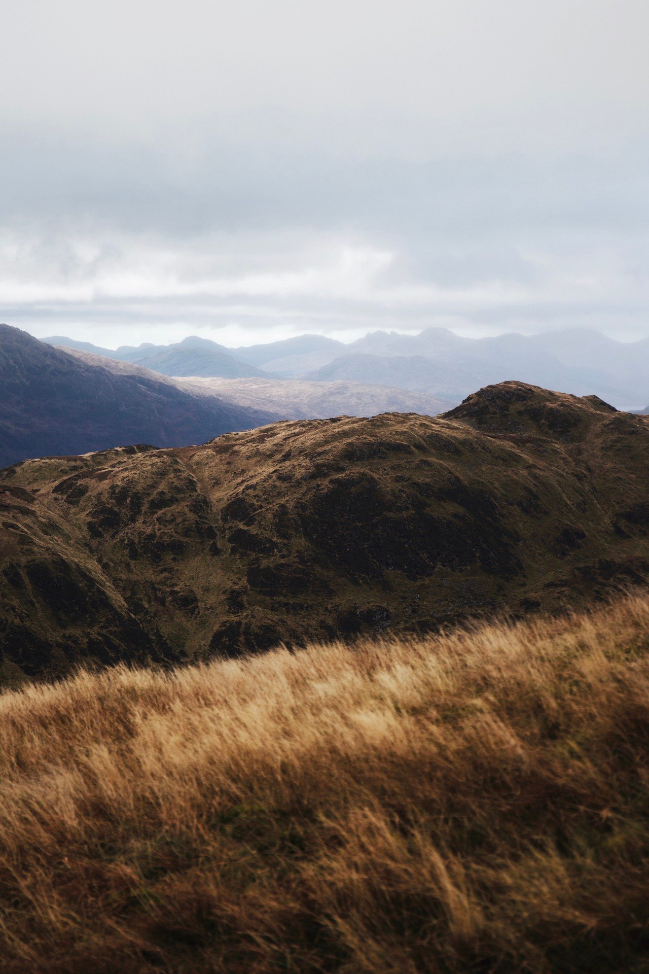 Golden Grass Hills Mountains Misty Valley Landscape