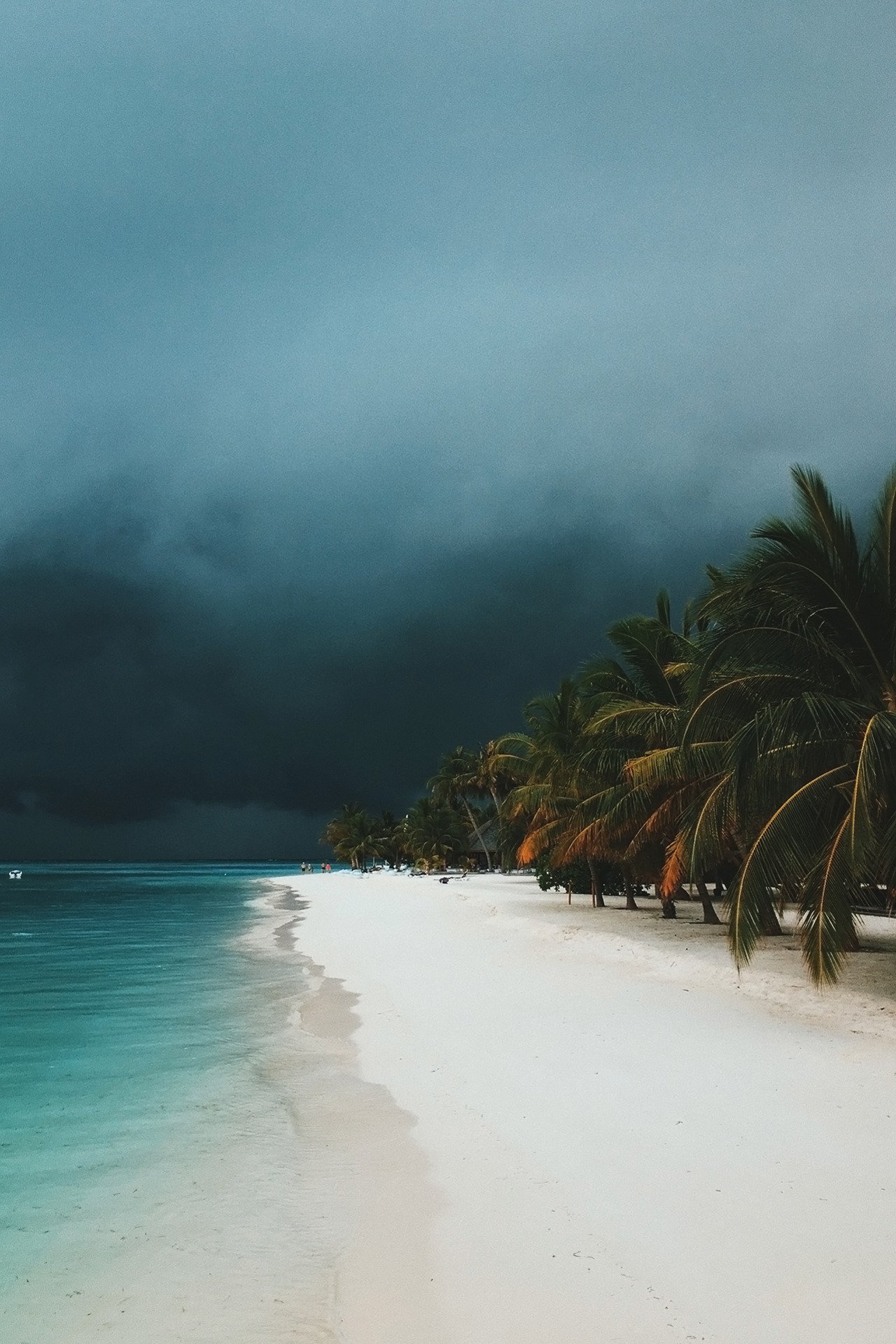 Tropical White Sand Beach Palm Trees Dark Storm Clouds