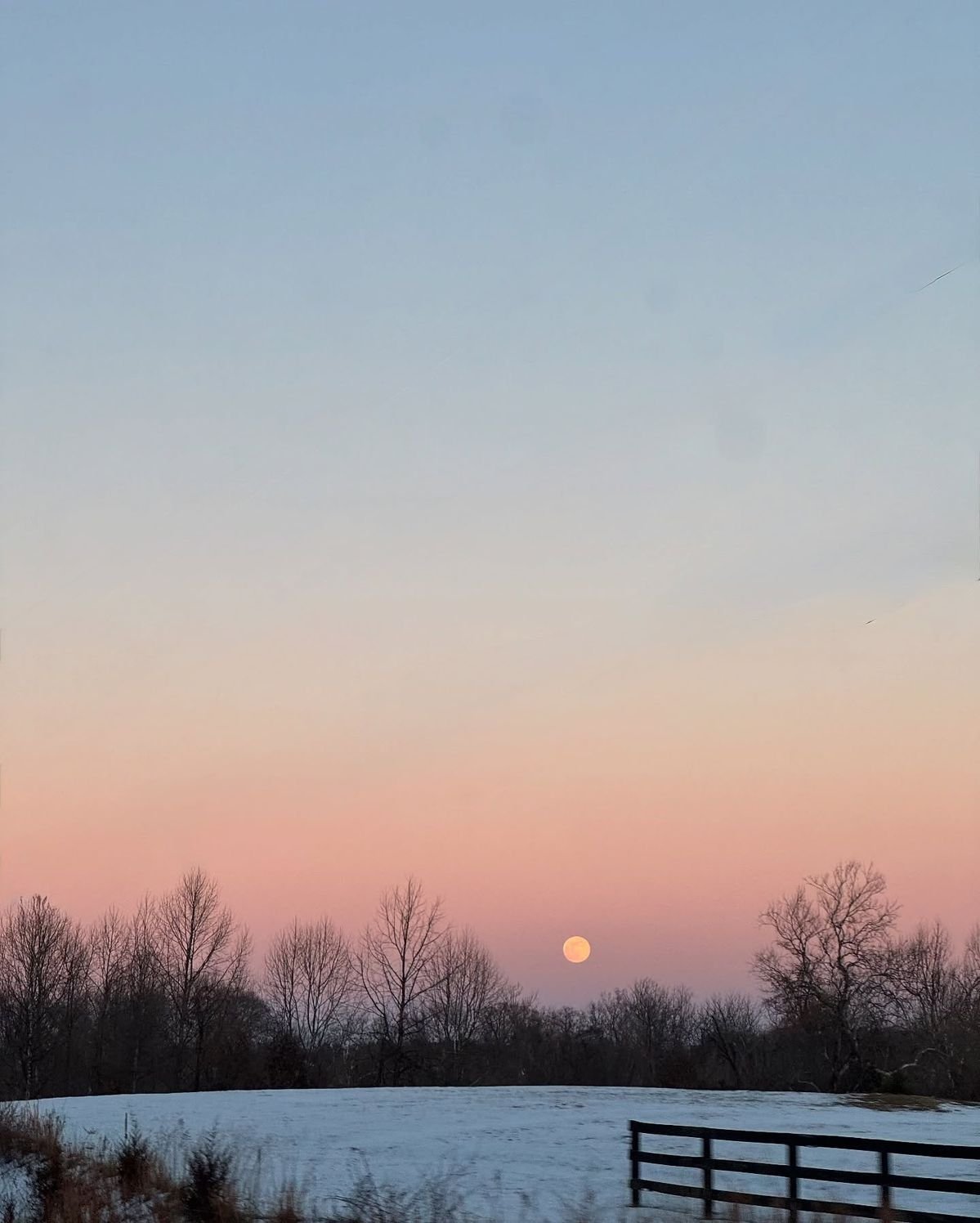 Winter Sunset Over Snowy Field With Bare Trees Fence