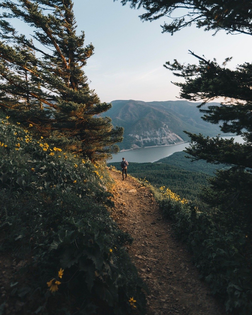 Hiker On Mountain Trail With Lake View Yellow Wildflowers