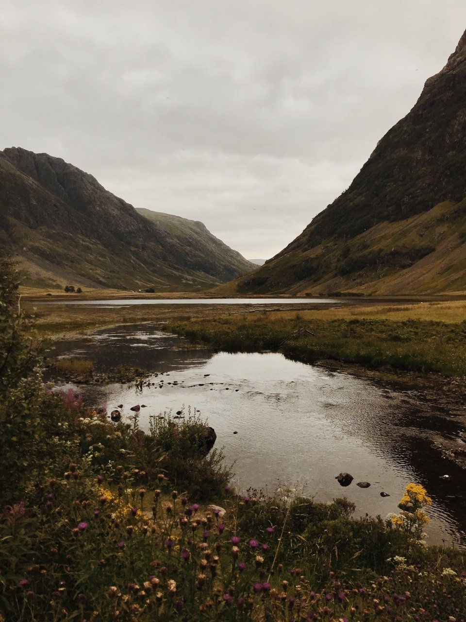 Highland Stream Wildflowers Mountain Valley Lake Scotland