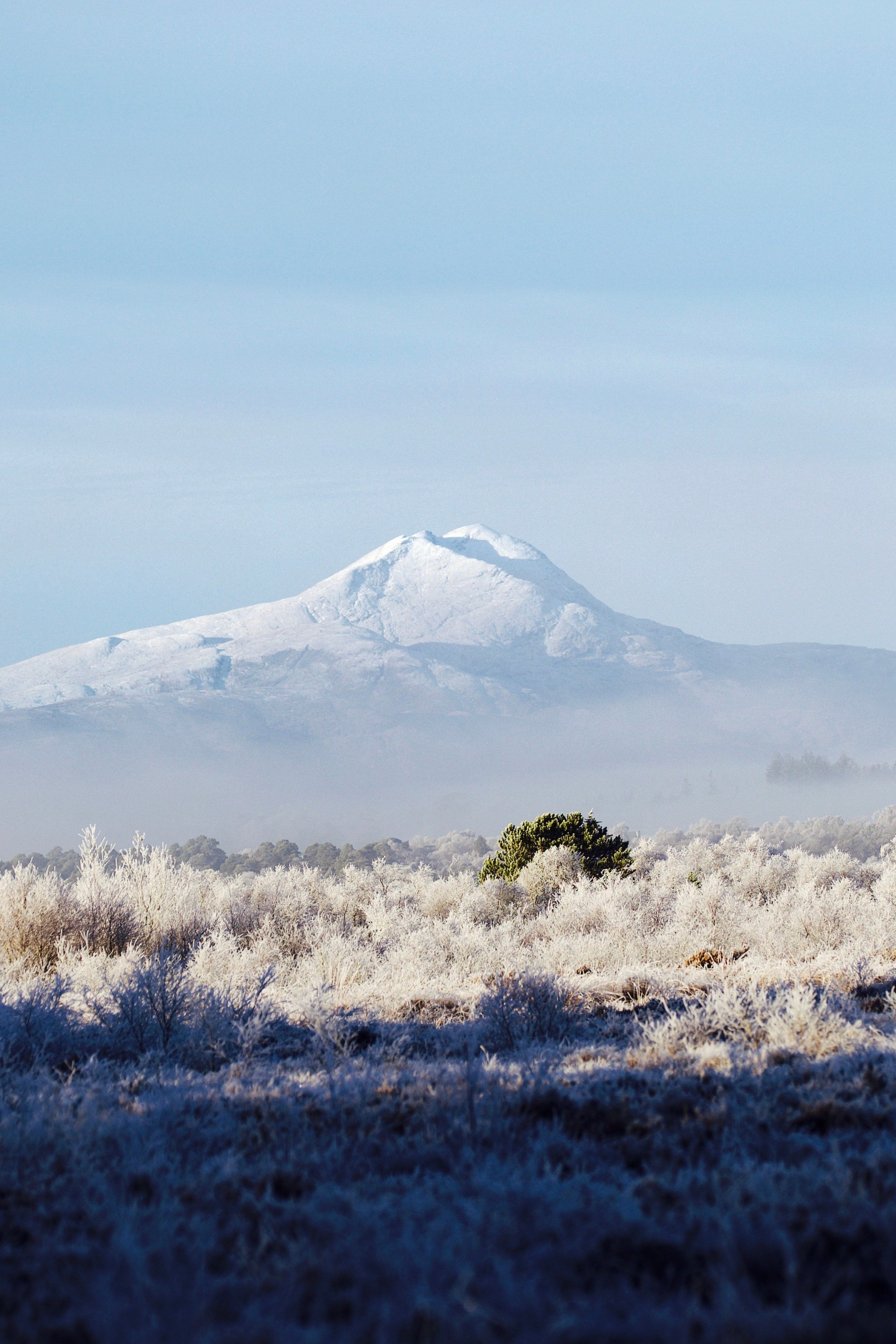 Snow Covered Mountain Peak Frost Covered Vegetation Winter Landscape