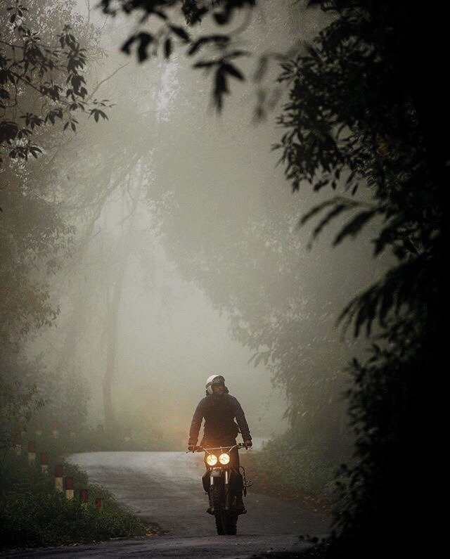 Motorcycle Rider Foggy Forest Road Headlight Morning