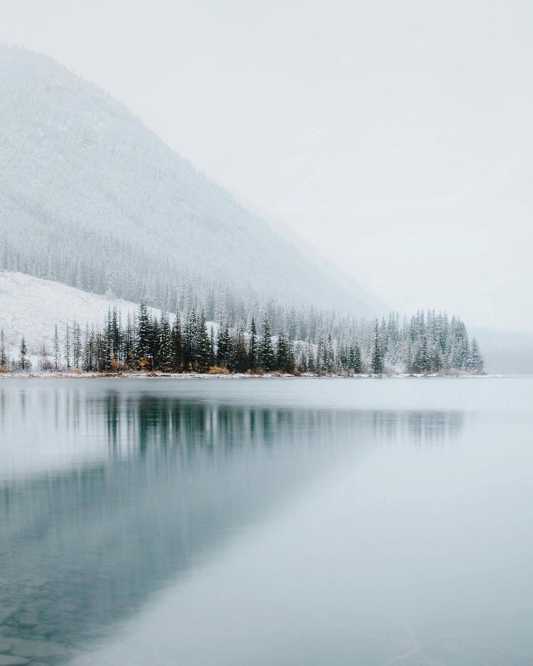 Snow Covered Mountain Pine Trees Frozen Lake Winter Fog