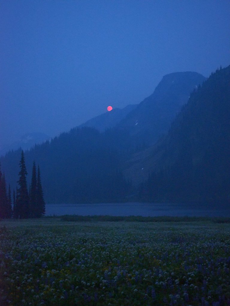 Red Sun Setting Behind Mountains Wildflower Meadow Blue Hour