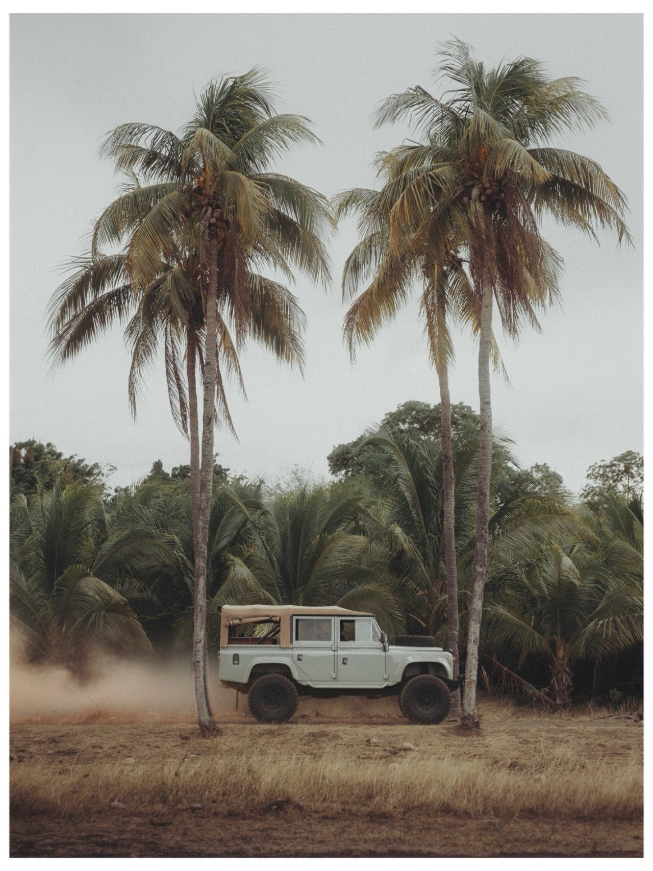 White Land Rover Defender Palm Trees Tropical Dirt Road