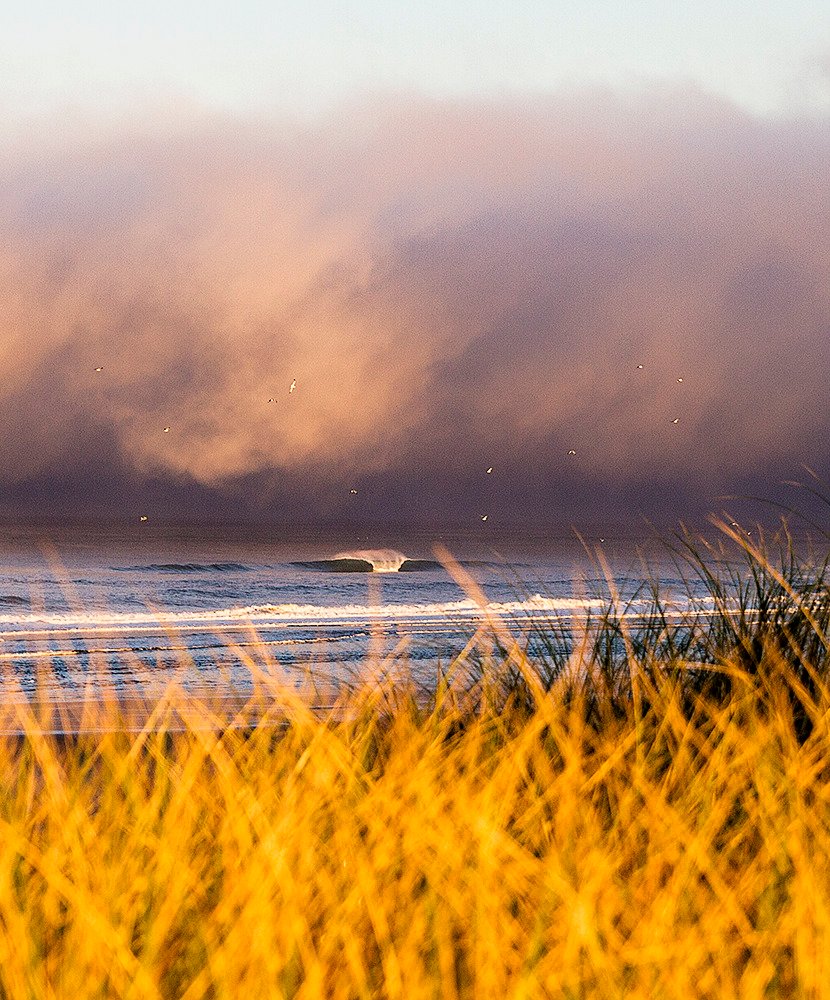 Golden Beach Grass Ocean Waves Foggy Coastal Morning