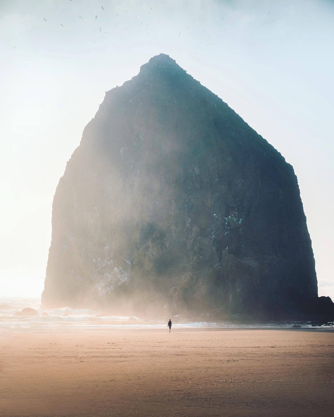 Lone Person Walking Misty Beach Giant Rock Formation Haystack