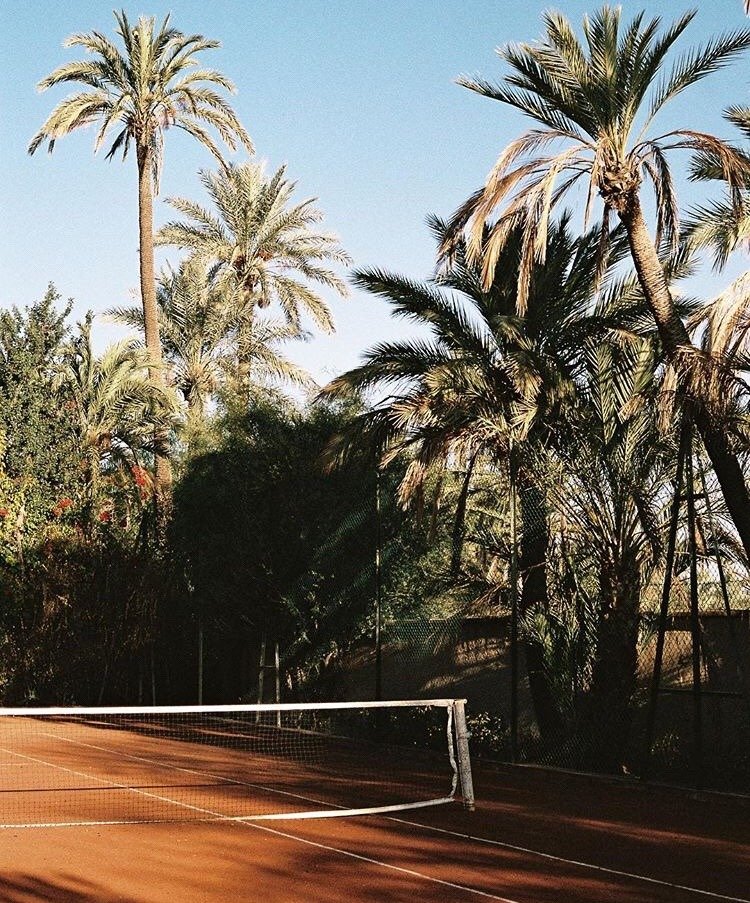 Clay Tennis Court Palm Trees Tropical Setting