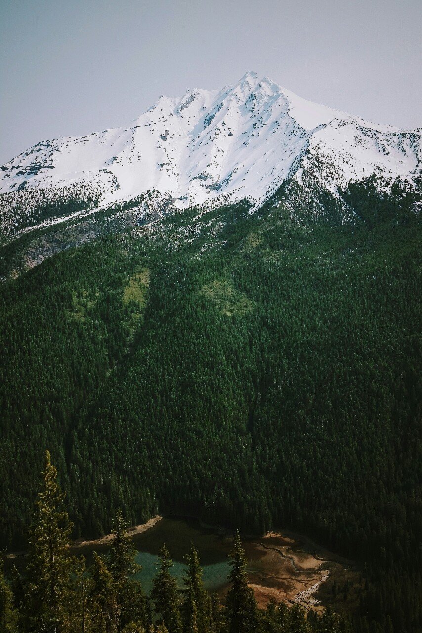Snow Capped Mountain Peak Green Forest Turquoise Lake