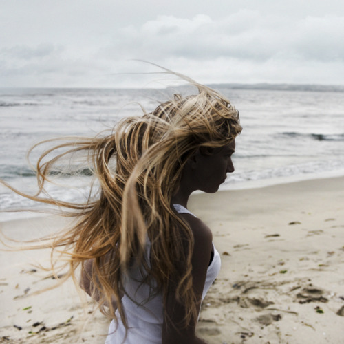 Wind-swept Beach Reverie