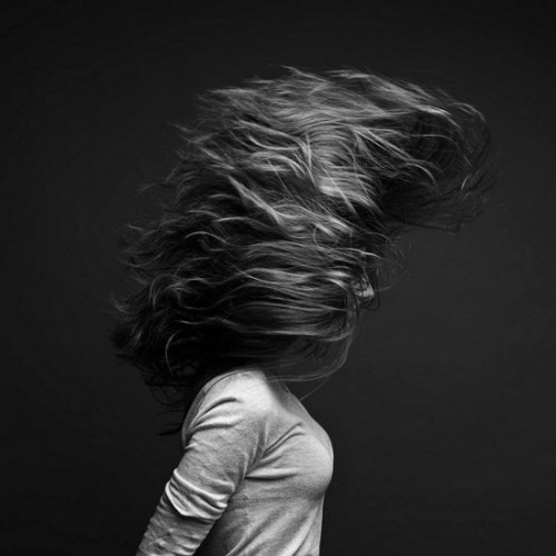 Windswept Landscape Photography