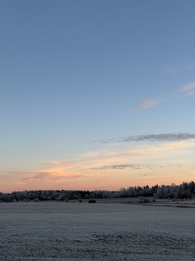 Winter Landscape Snowy Forest Sunset Sky